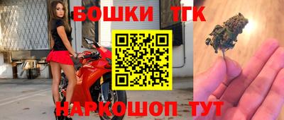 стаф Малгобек