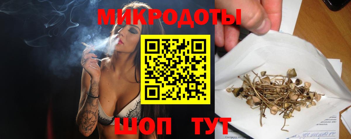 Псилоцибиновые грибы мухоморы Димитровград